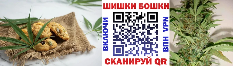 Canna-Cookies марихуана  ссылка на мегу как зайти  даркнет телеграм  Каргополь 