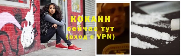 трава Строитель