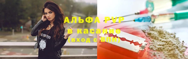 сатива Струнино